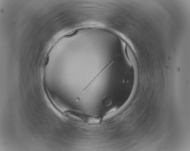 X0000083041383200702231918