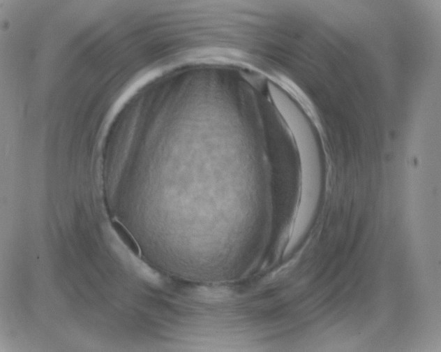 X0000083041384200702231918