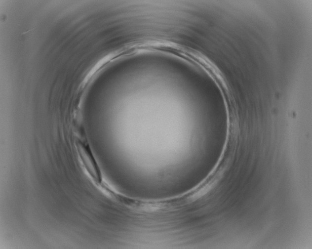 X0000083041385200702231918