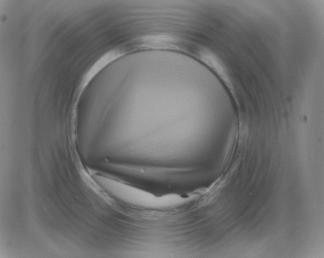 X0000083041386200702231918