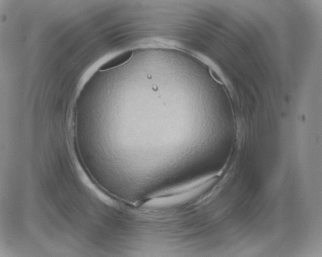 X0000083041387200702231918