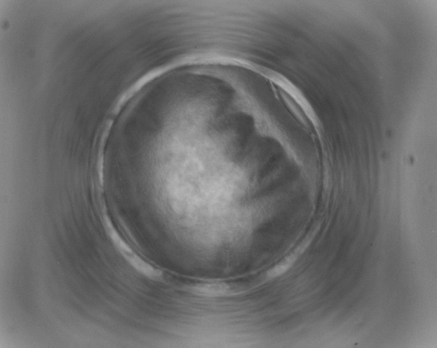 X0000083041388200702231918