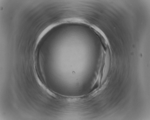 X0000083041389200702231918