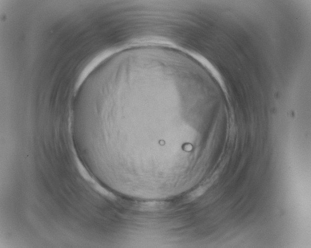 X0000083041390200702231918