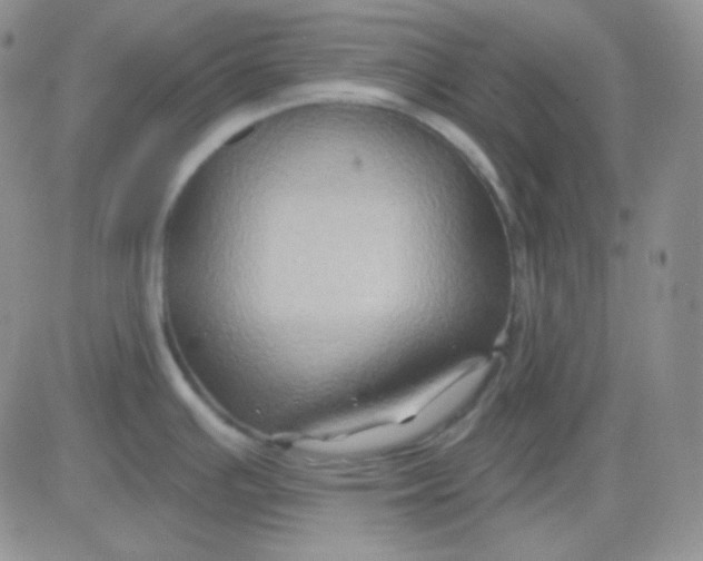 X0000083041391200702231918