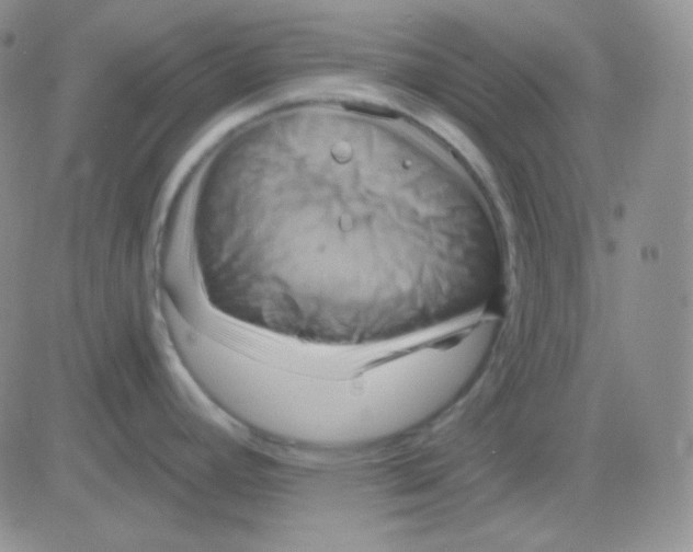 X0000083041392200702231918