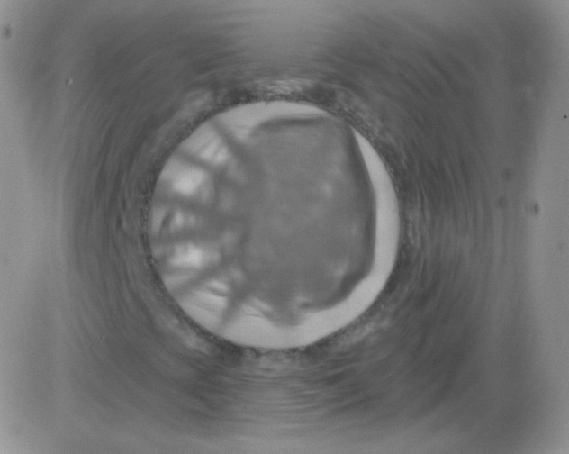 X0000083041393200702231918