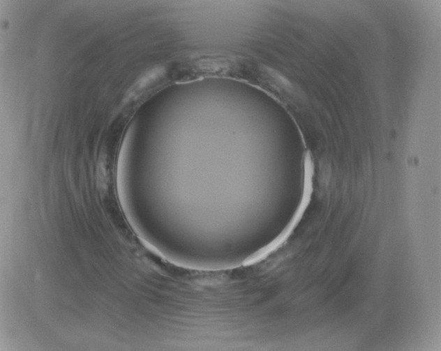 X0000083041394200702231918