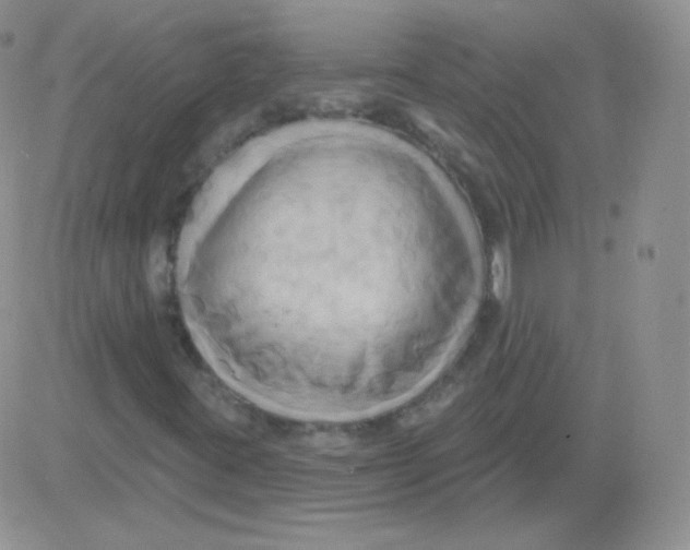 X0000083041395200702231918