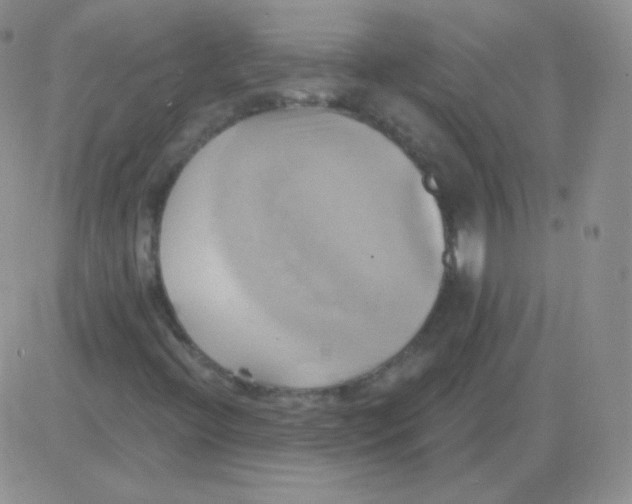 X0000083041396200702231918