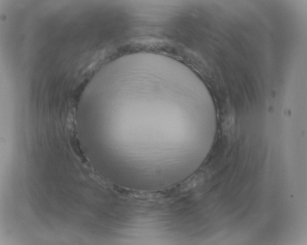 X0000083041397200702231918