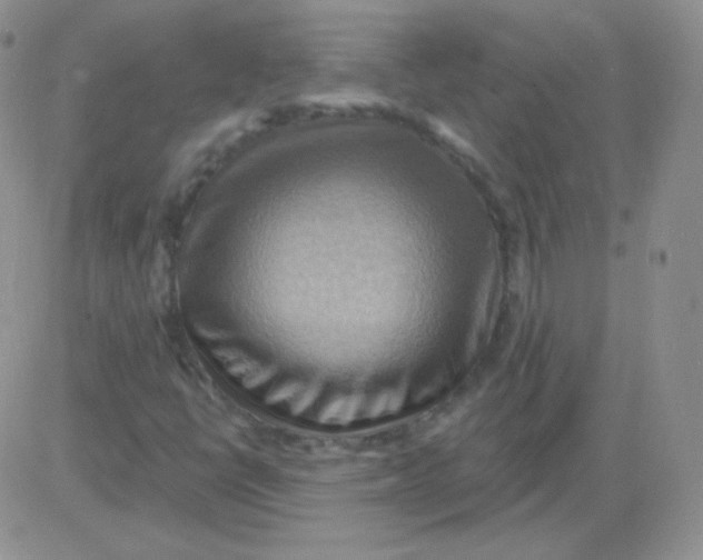 X0000083041398200702231918