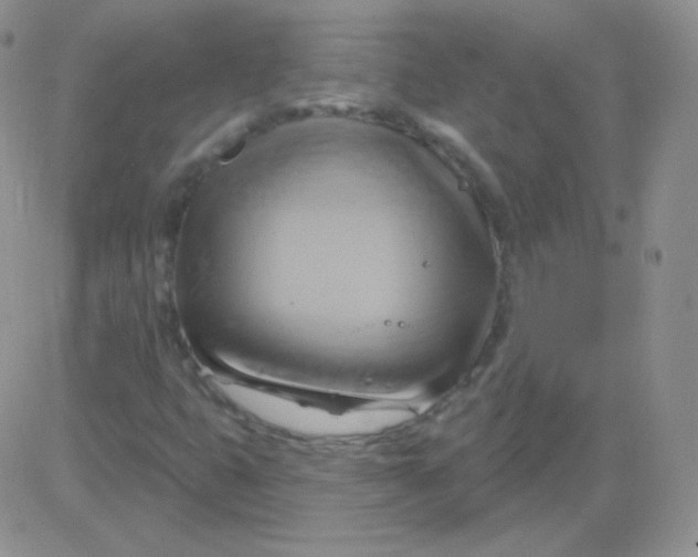 X0000083041399200702231918