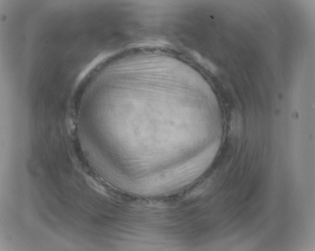 X0000083041400200702231918