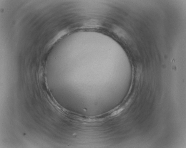 X0000083041401200702231918