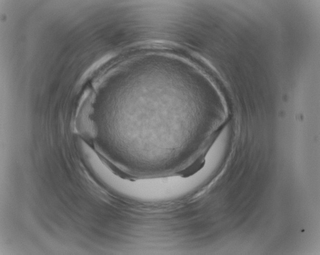 X0000083041402200702231918