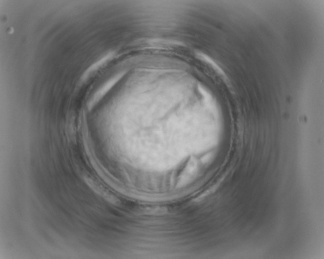 X0000083041403200702231918