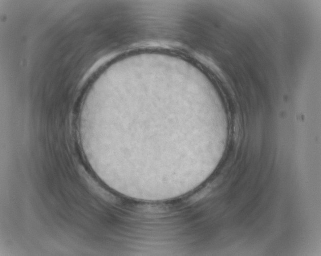 X0000083041404200702231918