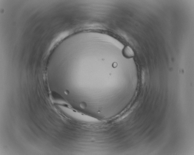 X0000083041405200702231918