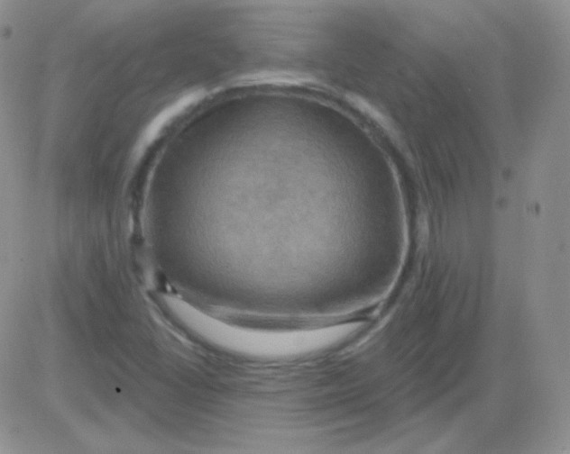 X0000083041406200702231918