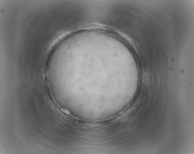 X0000083041407200702231918