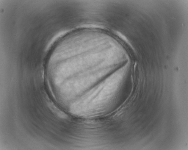 X0000083041408200702231918