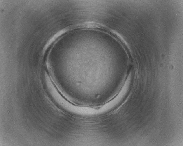 X0000083041410200702231918