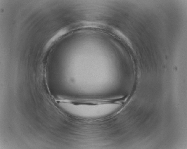 X0000083041411200702231918