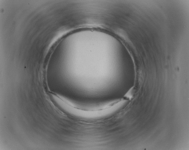 X0000083041412200702231918