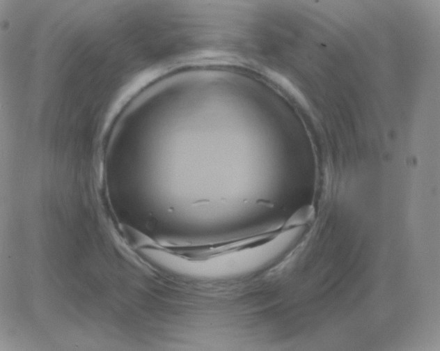 X0000083041413200702231918