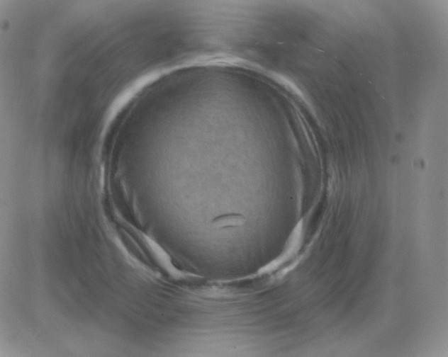 X0000083041414200702231918