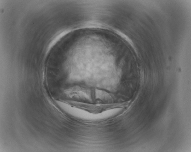 X0000083041415200702231918