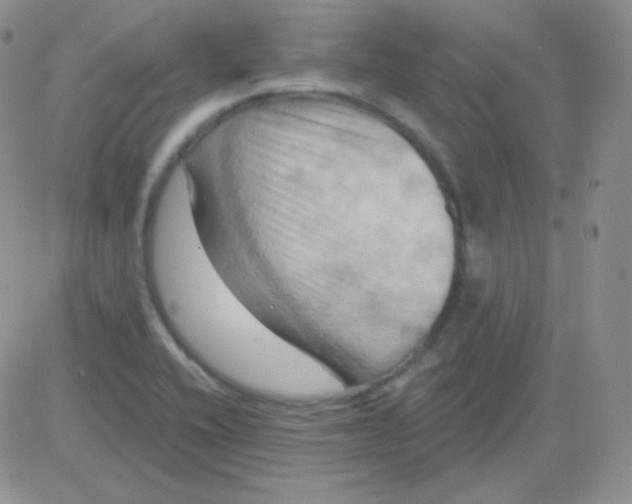 X0000083041416200702231918