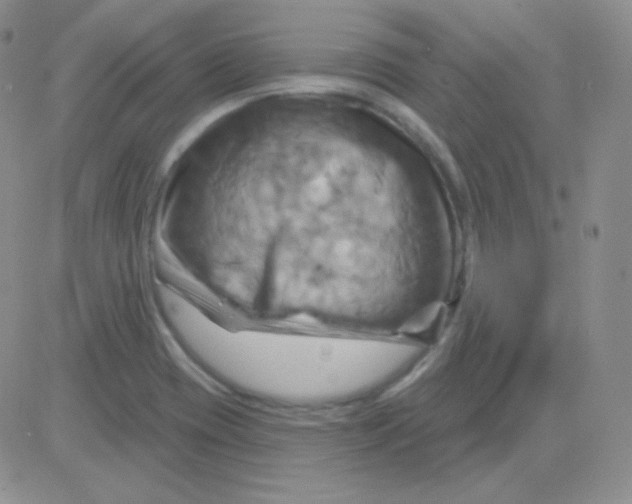 X0000083041417200702231918