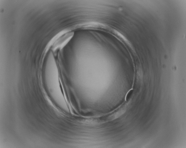 X0000083041418200702231918