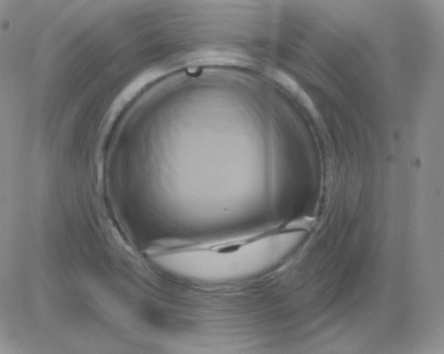 X0000083041419200702231918