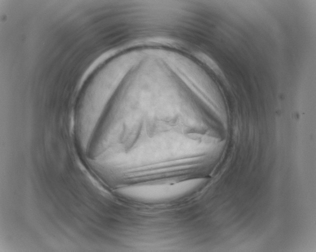 X0000083041420200702231918