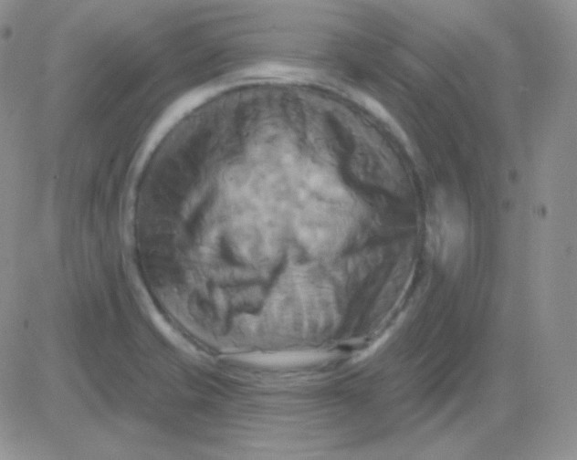 X0000083041421200702231918