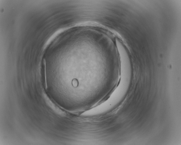 X0000083041422200702231918