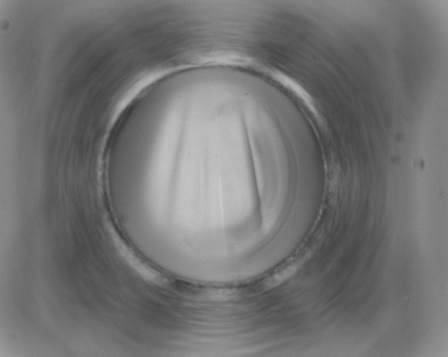 X0000083041423200702231918