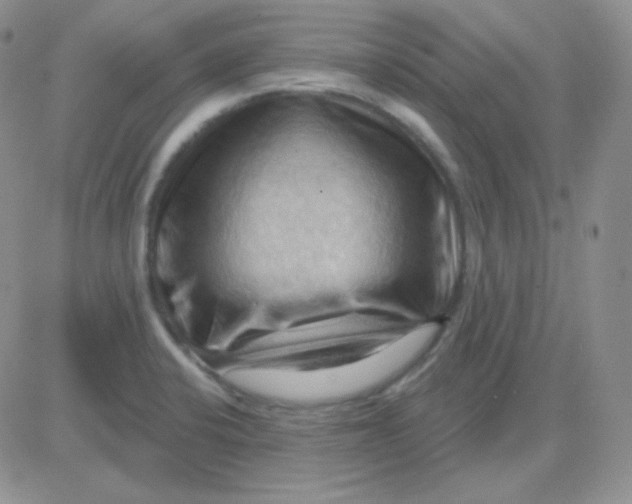 X0000083041424200702231918