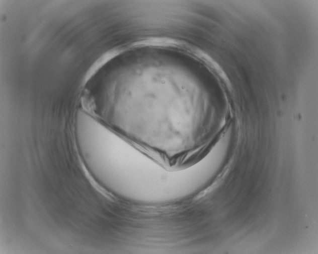 X0000083041425200702231918