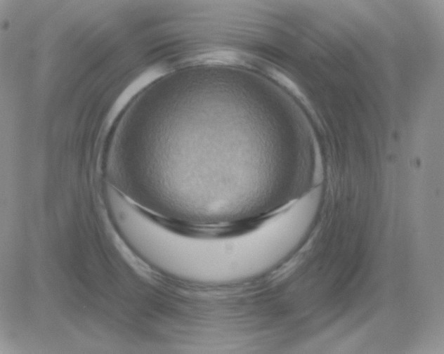 X0000083041426200702231918