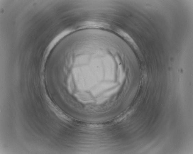 X0000083041427200702231918