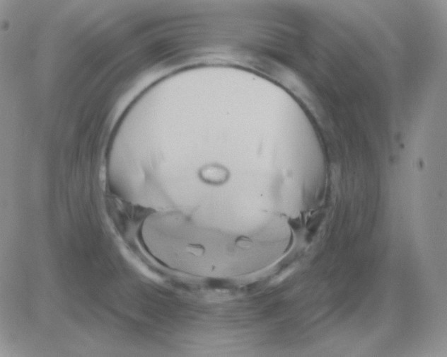 X0000083041428200702231918