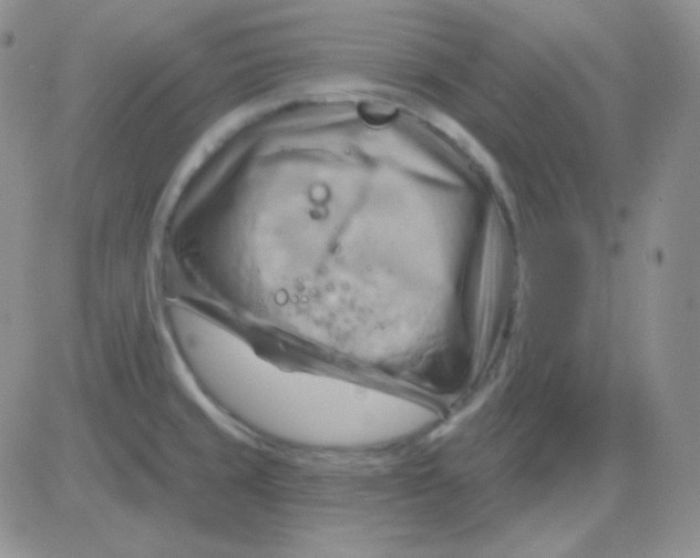 X0000083041429200702231918