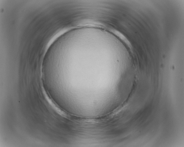 X0000083041431200702231918