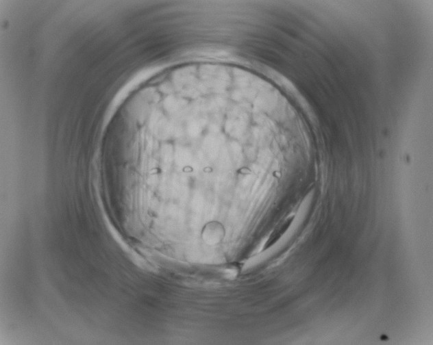 X0000083041432200702231918