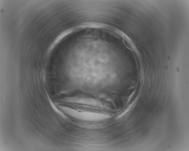 X0000083041433200702231918