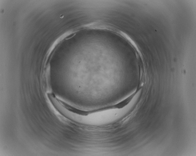 X0000083041434200702231918